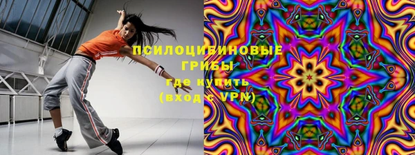 ПСИЛОЦИБИНОВЫЕ ГРИБЫ Абдулино