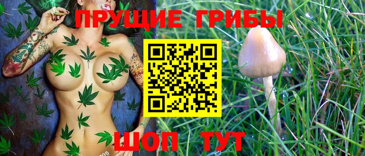 Псилоцибиновые грибы MAGIC MUSHROOMS  Вход с VPN  цена наркотик  Соликамск  Галлюциногенные грибы MAGIC MUSHROOMS 